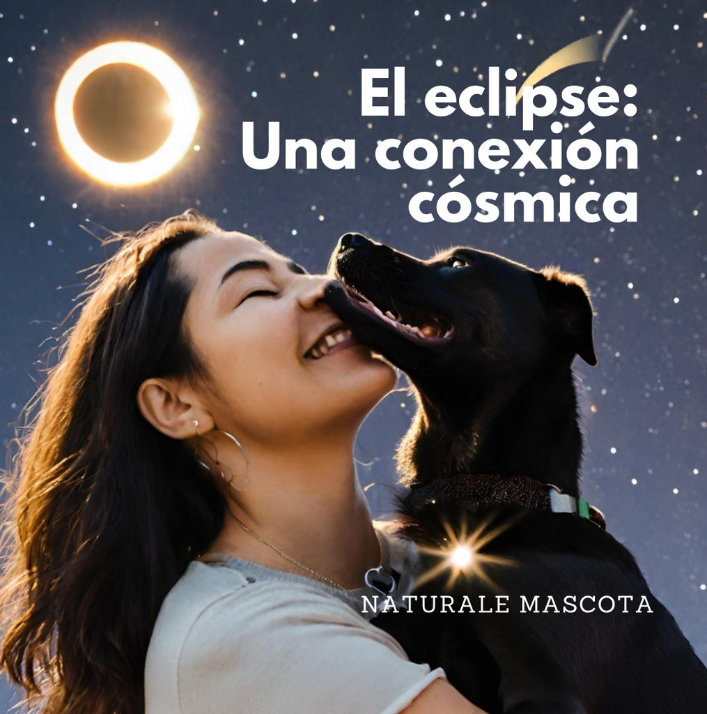 El Eclipse y su Influencia en Nuestras Mascotas
