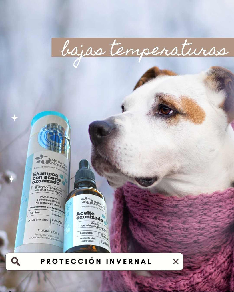 Cuidado Invernal: Protegiendo la Piel de tu Mascota con Aceite Ozonizado y Técnicas Especializadas